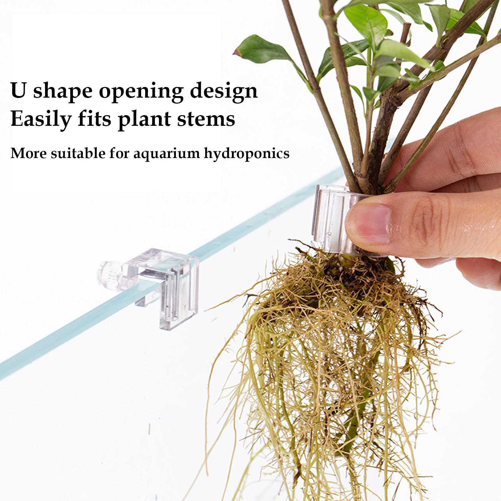 Fish Tank Plant Holder 6 Piece - Aquarium Plant Diseases ulasan dan harga