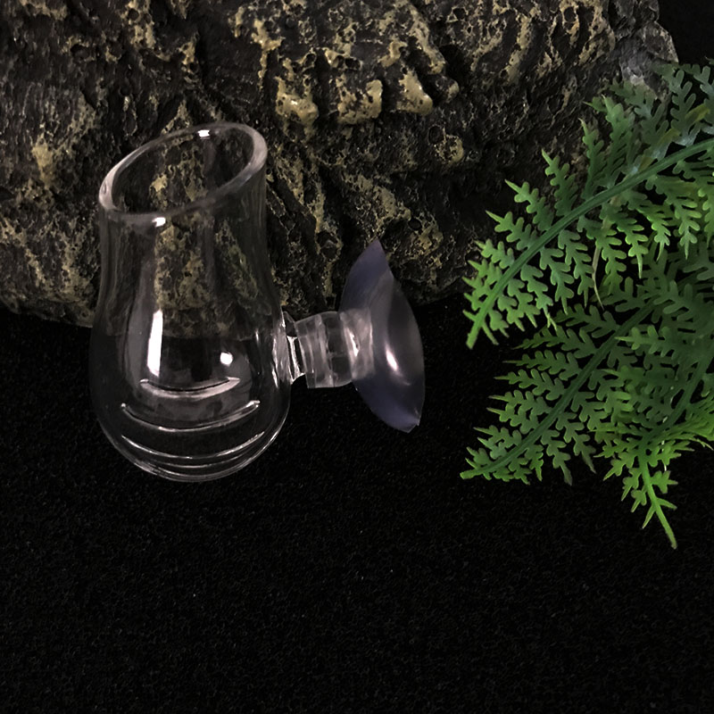 Aquarium Decoration Hanging Fi - Planted Aquarium Mini ulasan dan harga