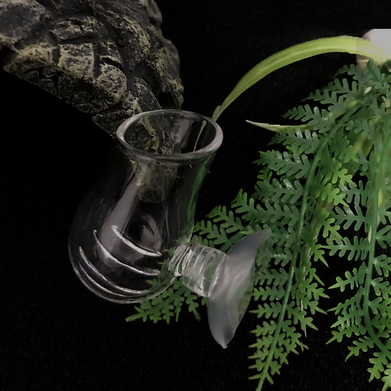 Aquarium Decoration Hanging Fi - Planted Aquarium Mini ulasan dan harga