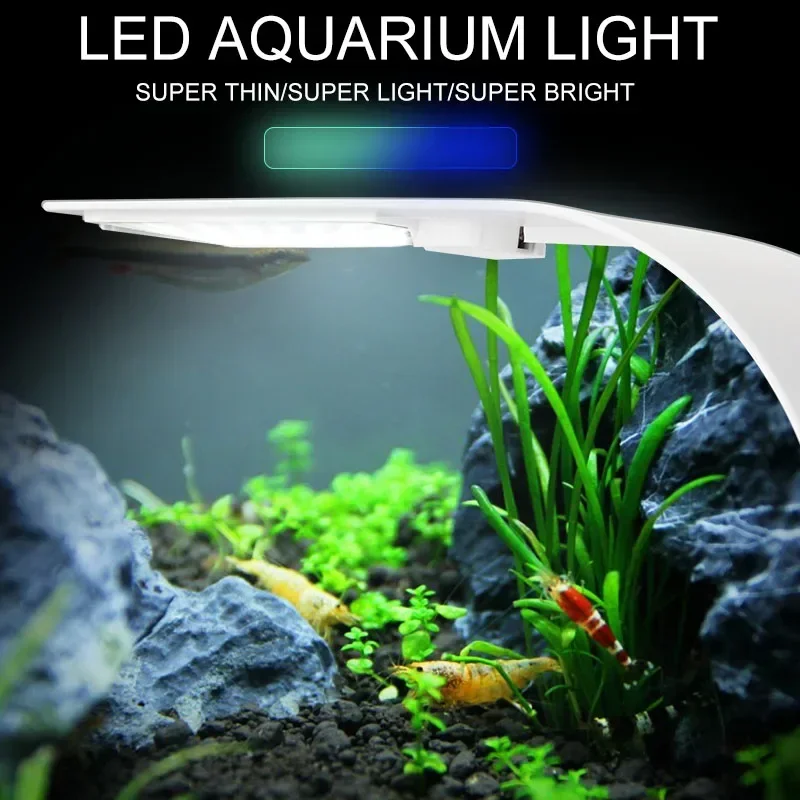 Ultra Thin LED Aquarium Light  - Aquarium Plant Iron ulasan dan harga