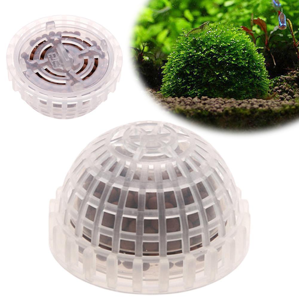 1pc Aquatic Pet Supplies Decor - Aquarium Plant Echinodorus ulasan dan harga