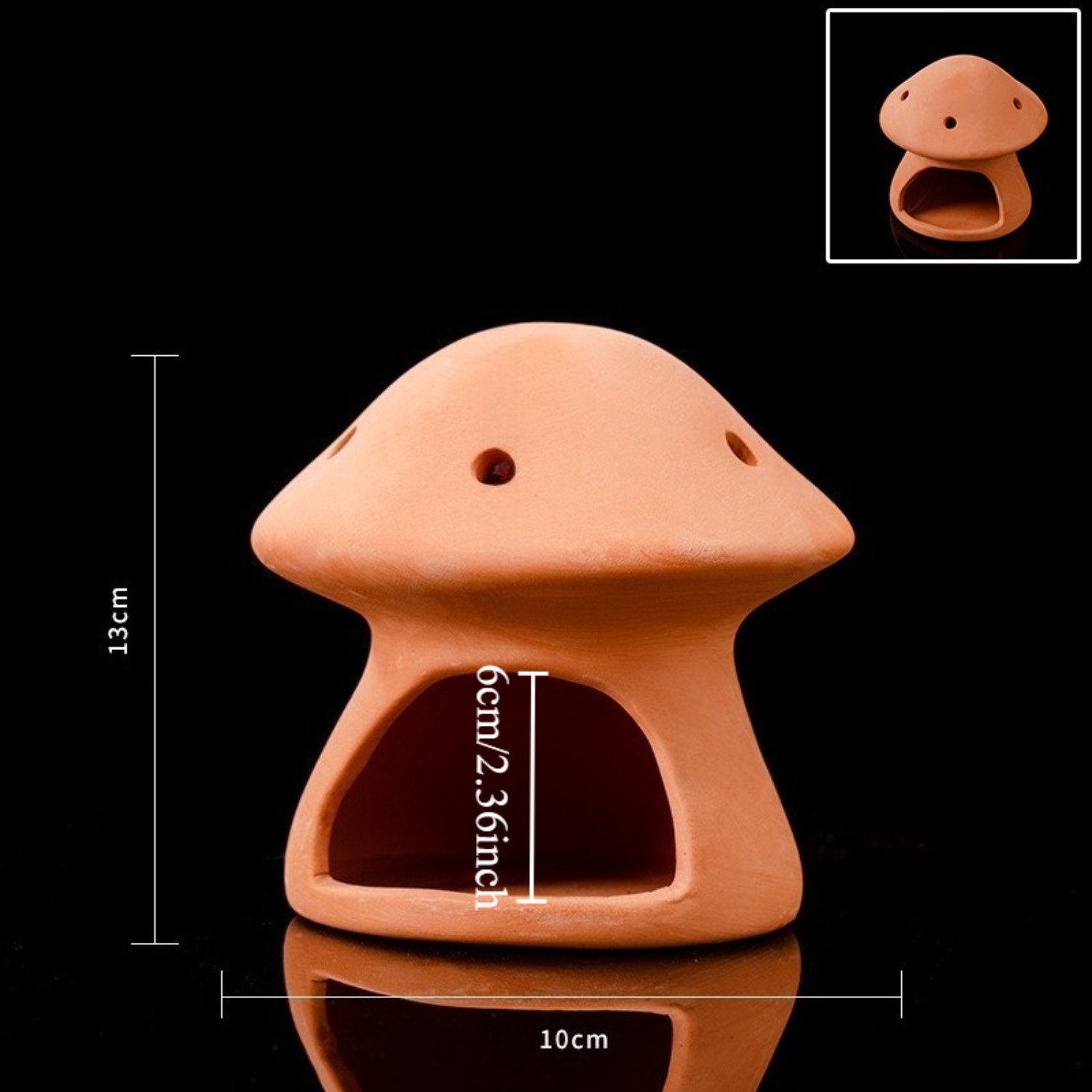 Plant Style Red Clay Aquarium  - Aquarium Plant Red ulasan dan harga