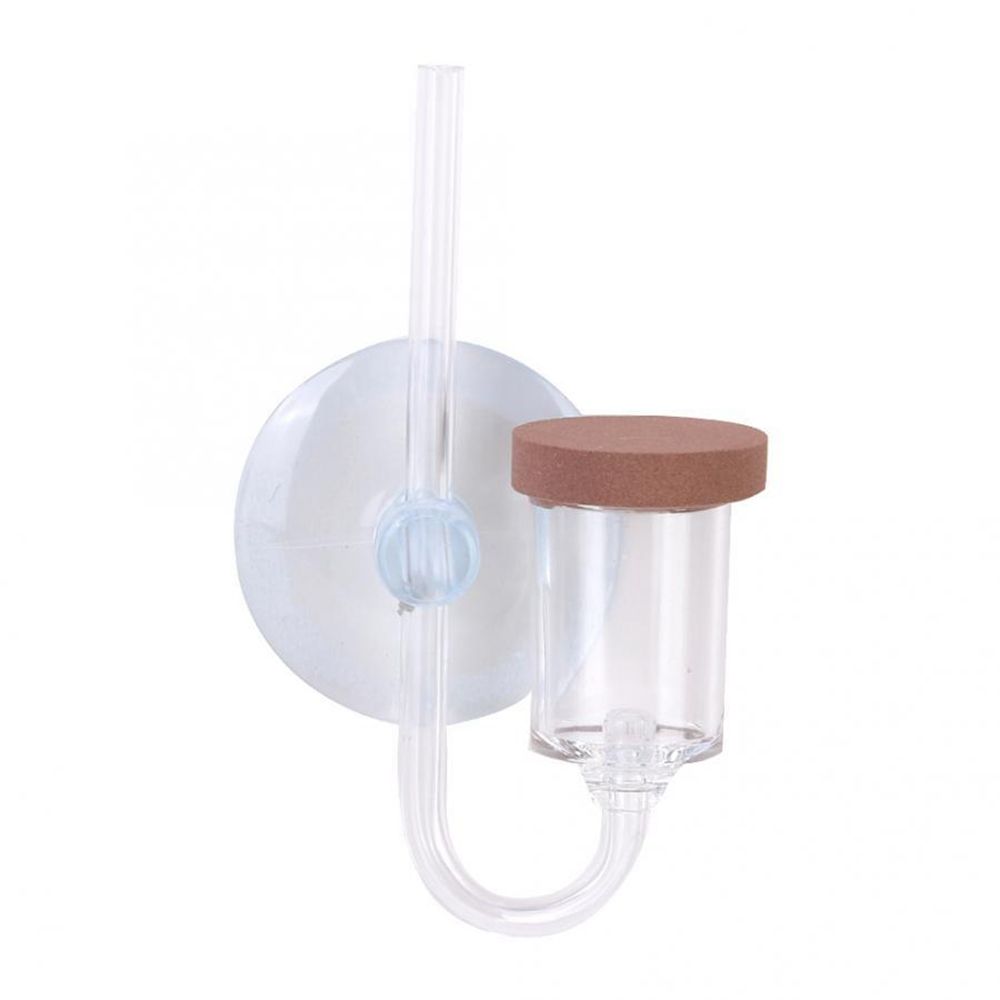 Acrylic Mini Fish Tank Live Pl - Planted Aquarium Mini ulasan dan harga