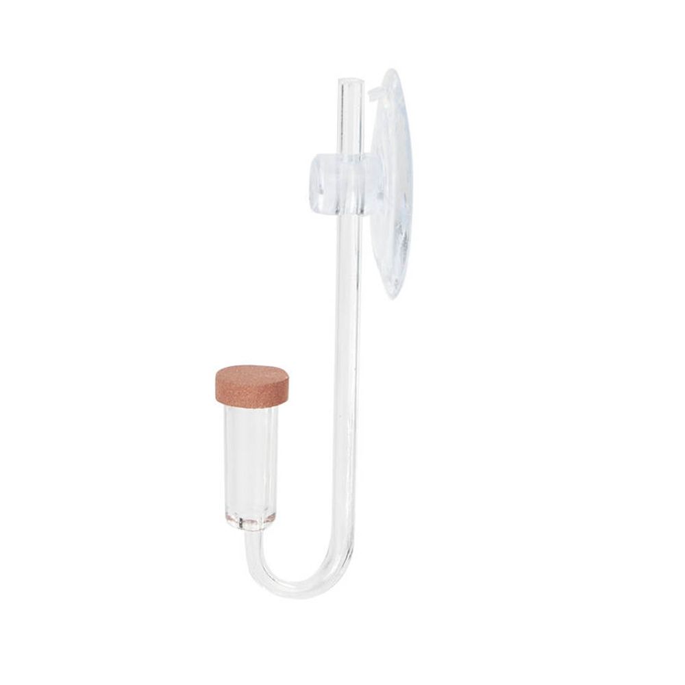 Acrylic Mini Fish Tank Live Pl - Planted Aquarium Mini ulasan dan harga