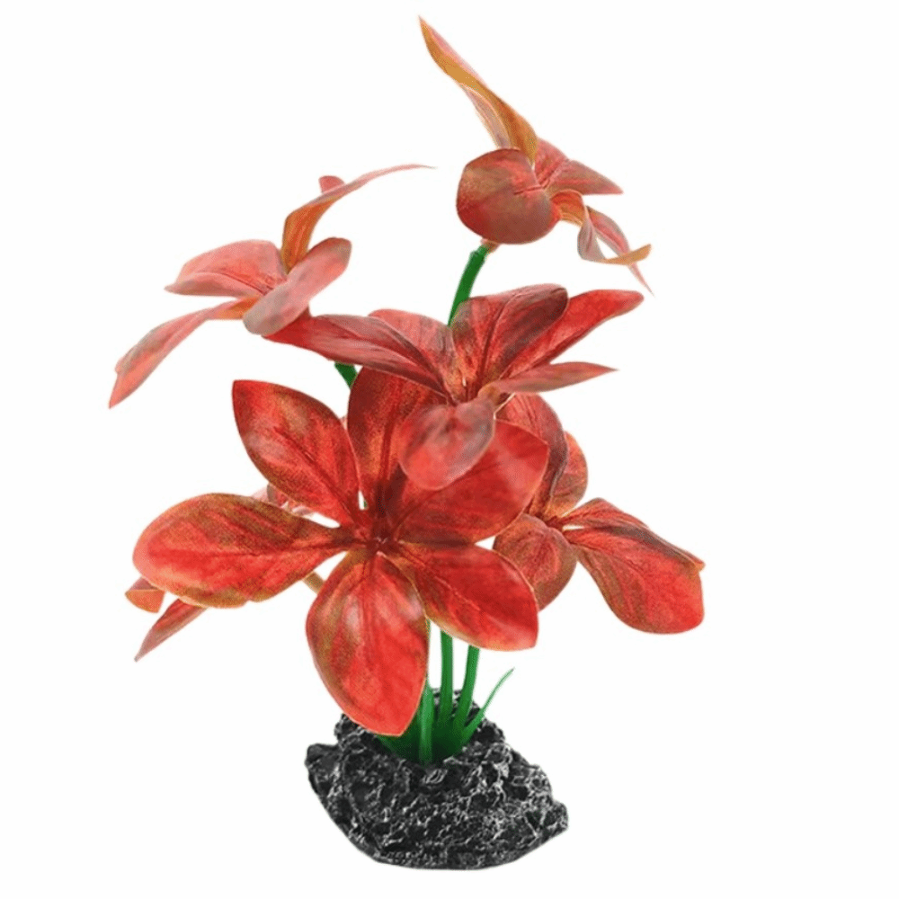 Plastic Material Aquarium Plan - Planted Aquarium Materials ulasan dan harga