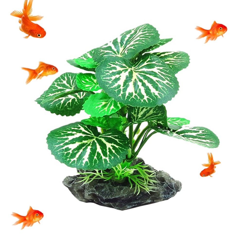 Plastic Material Aquarium Plan - Planted Aquarium Materials ulasan dan harga