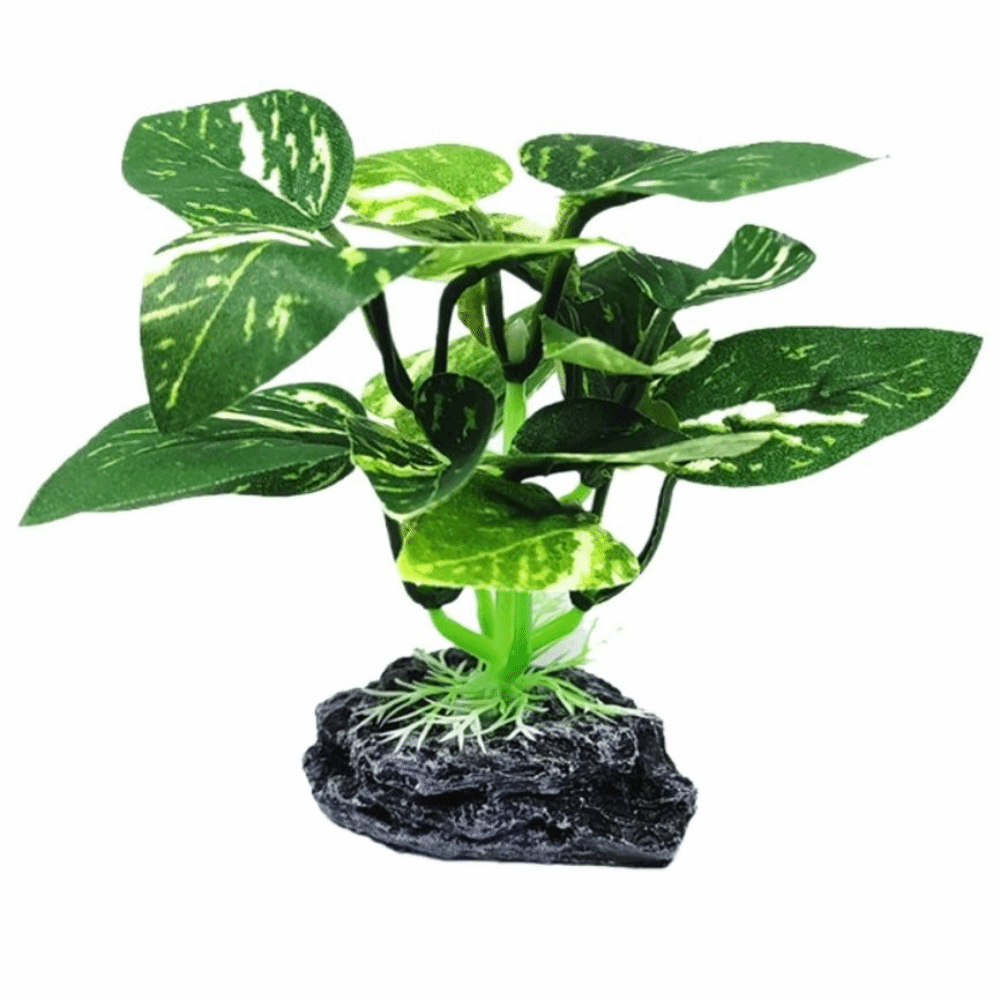 Plastic Material Aquarium Plan - Planted Aquarium Materials ulasan dan harga