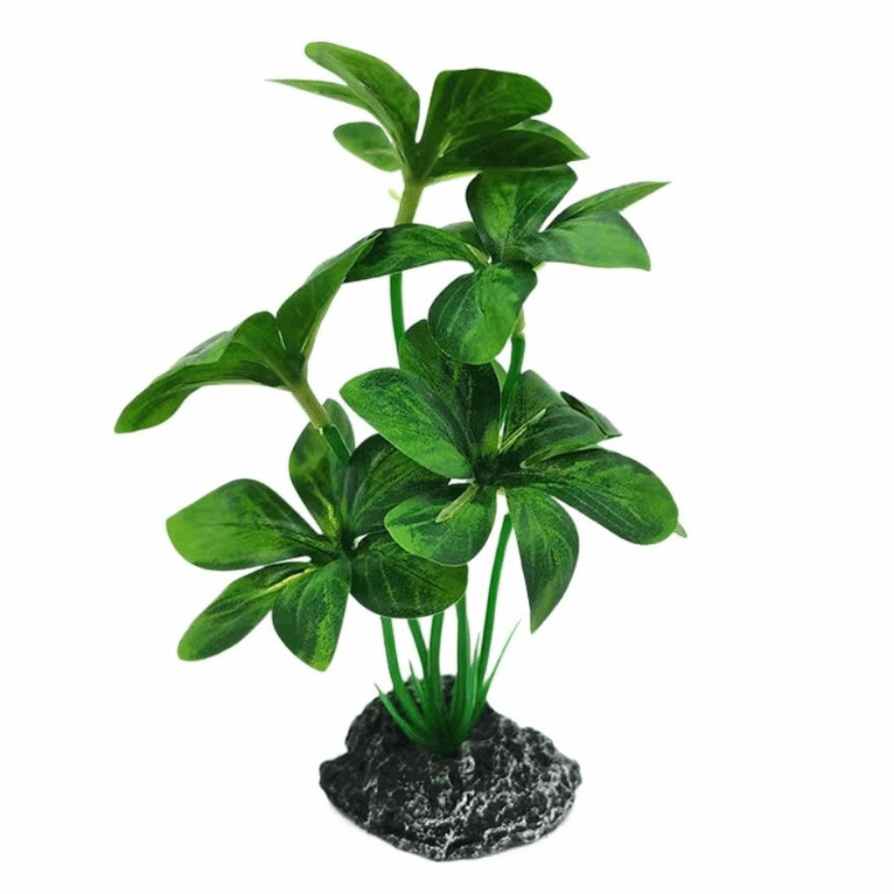 Plastic Material Aquarium Plan - Planted Aquarium Materials ulasan dan harga
