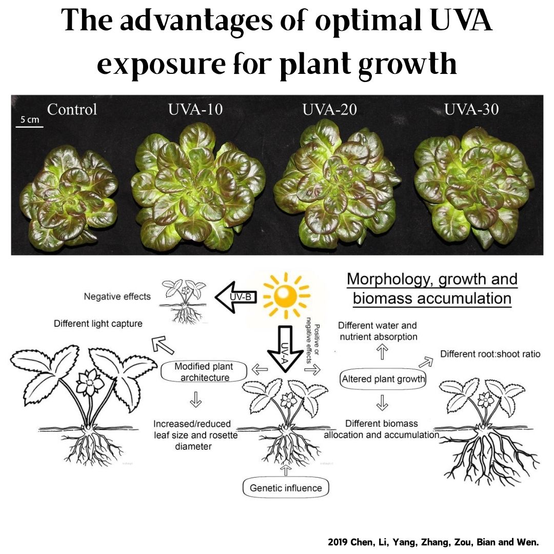 Week Aqua M Series RGB+UV Wate - Aquarium Plant Growing ulasan dan harga