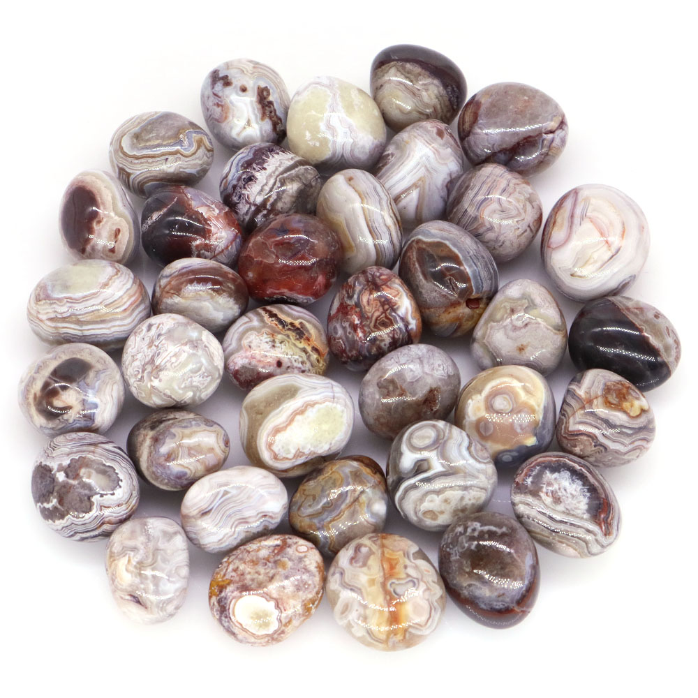 Natural Red White Crazy Agate  - Aquarium Plant Red ulasan dan harga