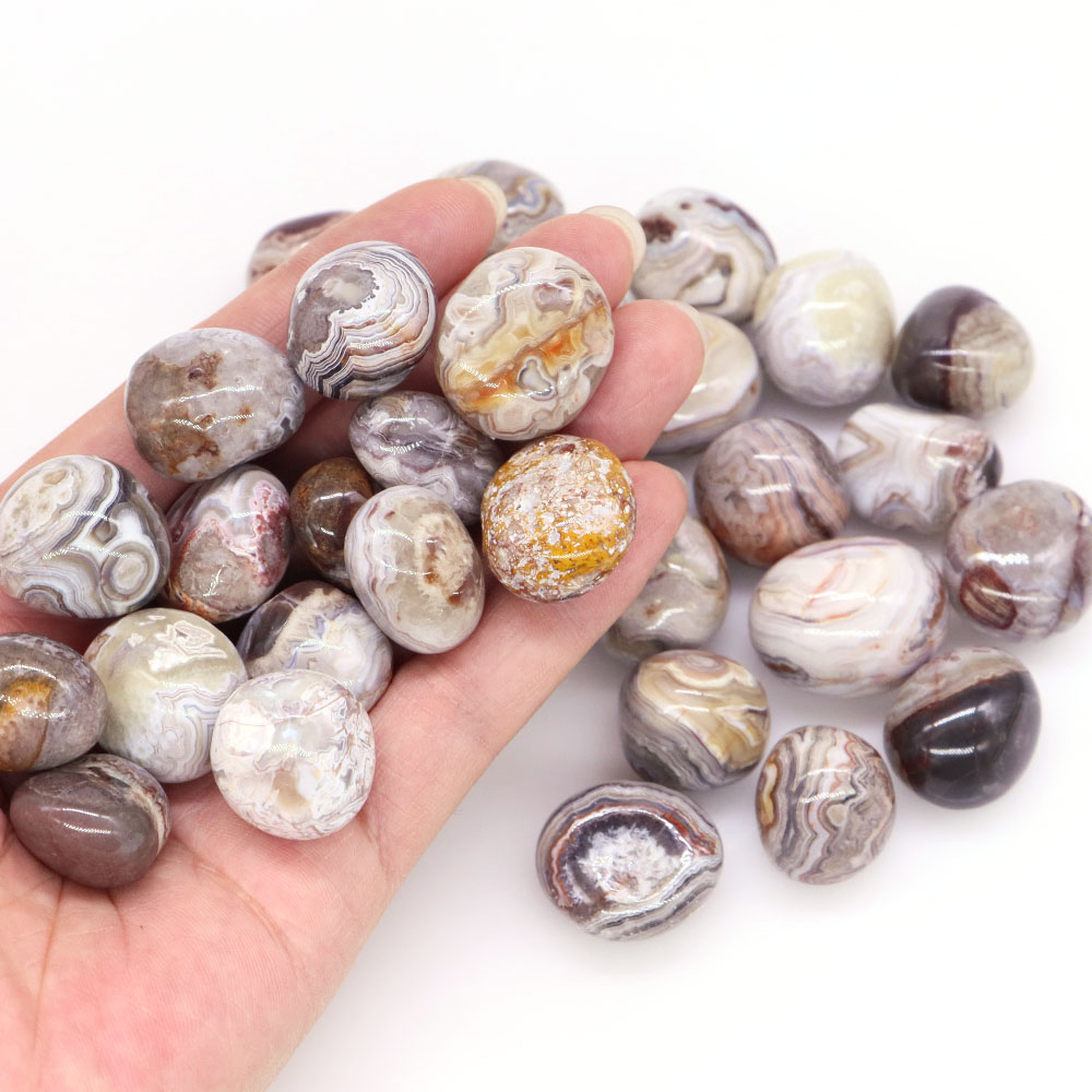 Natural Red White Crazy Agate  - Aquarium Plant Red ulasan dan harga