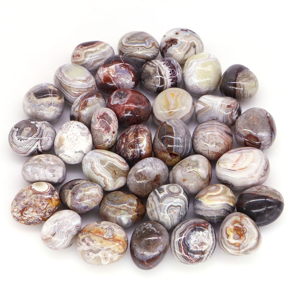 Natural Red White Crazy Agate  - Aquarium Plant Red ulasan dan harga