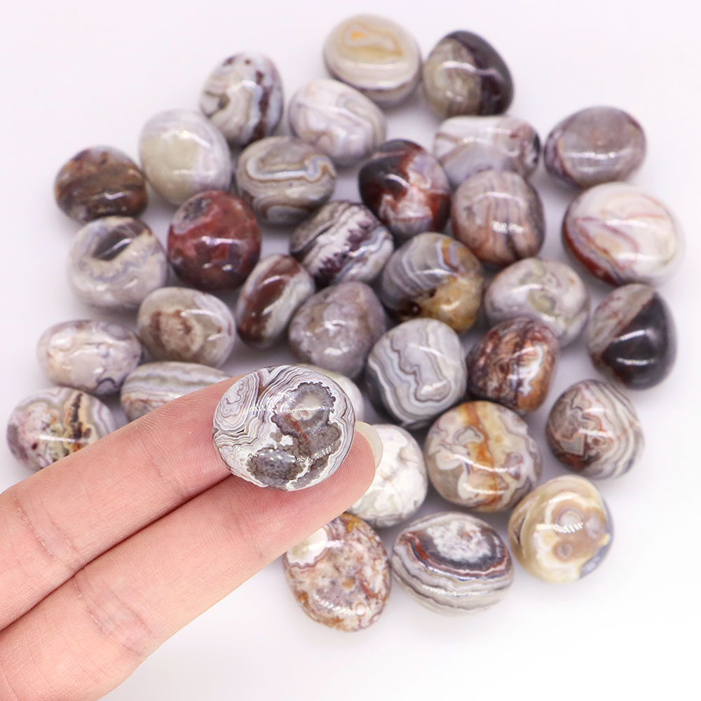 Natural Red White Crazy Agate  - Aquarium Plant Red ulasan dan harga