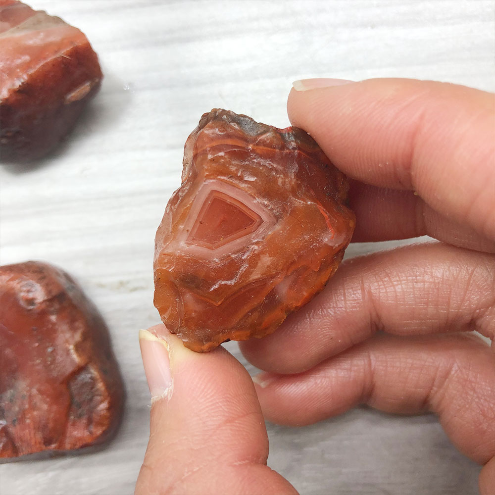 1pc Random Rough Raw Carnelian - Aquarium Plant Red ulasan dan harga