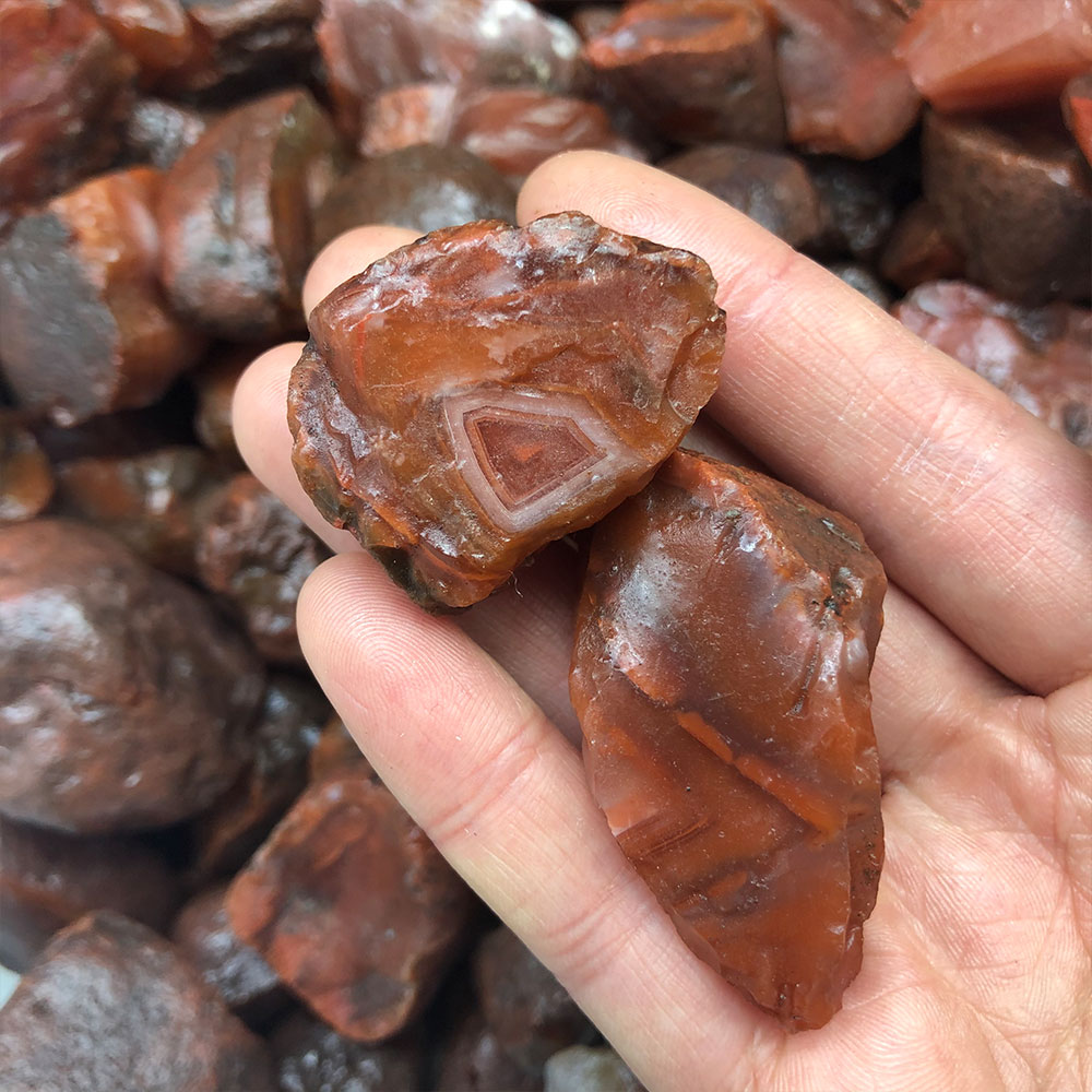 1pc Random Rough Raw Carnelian - Aquarium Plant Red ulasan dan harga
