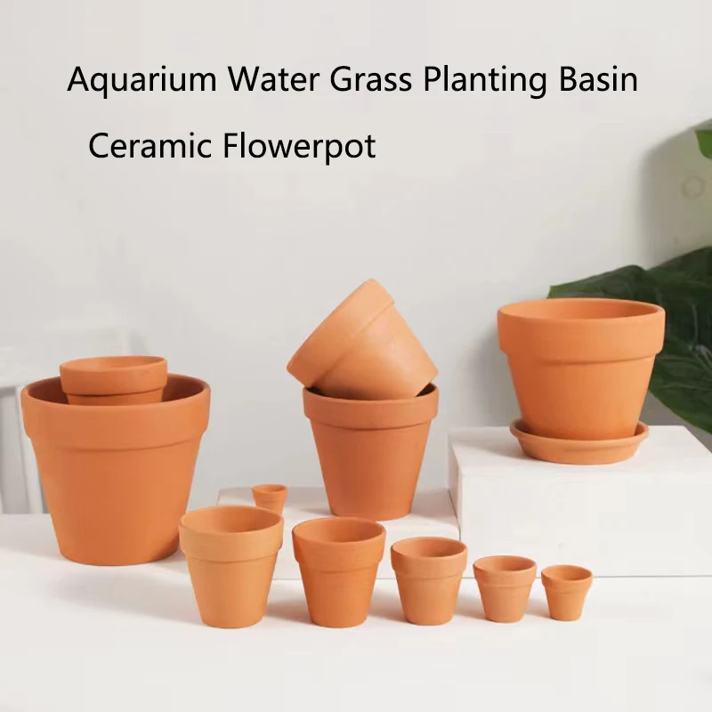 Red Mud Aquarium Decoration Fo - Aquarium Plant Red ulasan dan harga