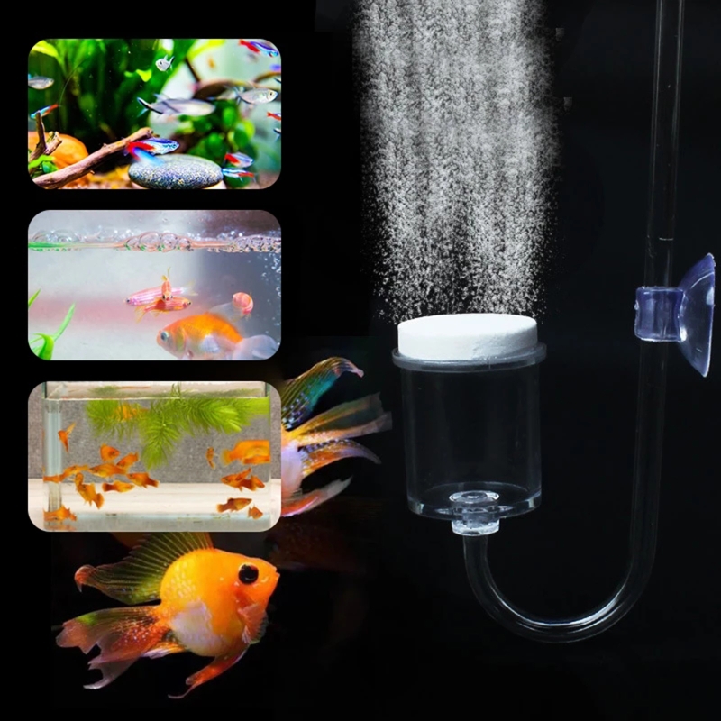 4pcs Set DIY CO2 Diffuser For  - Planted Aquarium Media ulasan dan harga