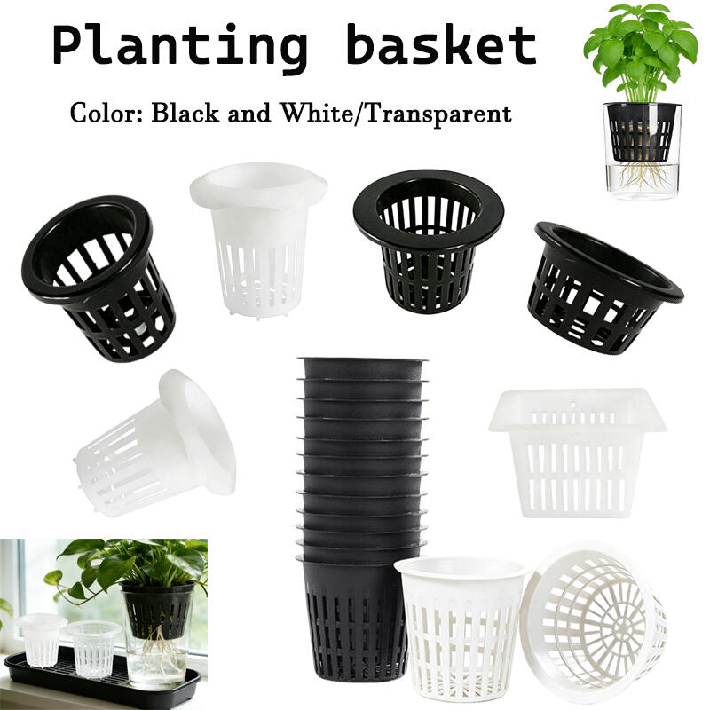 5/10Pcs Hydroponic Colonizatio - Aquarium Plant Diseases ulasan dan harga
