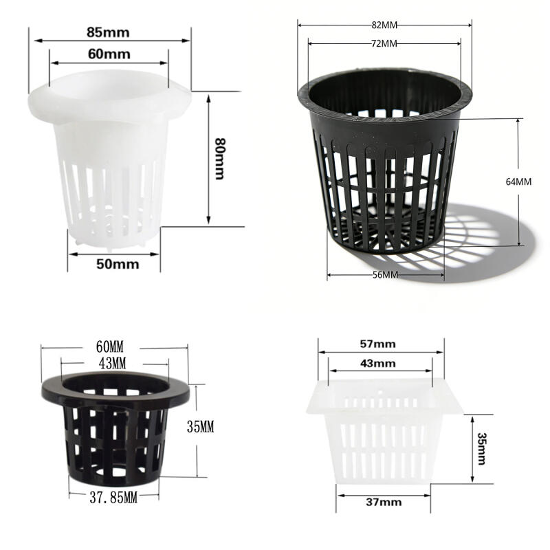 5/10Pcs Hydroponic Colonizatio - Aquarium Plant Diseases ulasan dan harga